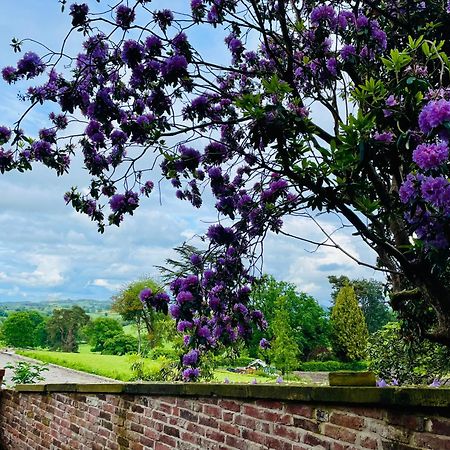 Llanerchydol Hall Suites Welshpool Kültér fotó