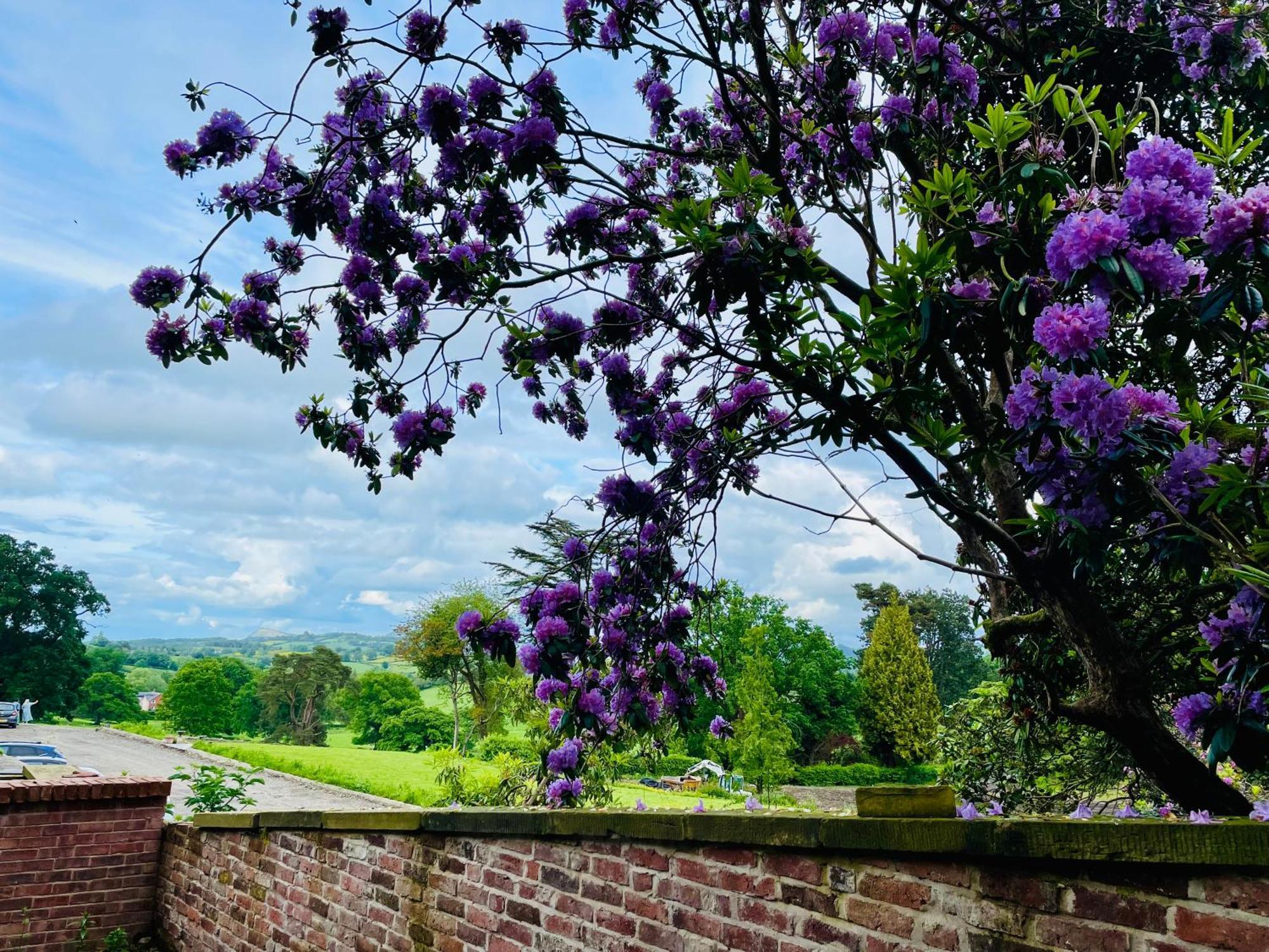 Llanerchydol Hall Suites Welshpool Kültér fotó